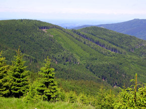 /Lvi_hora_a_Koprivna_z_uboci_Smrku